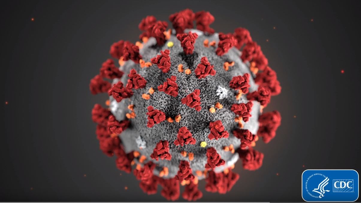 Understanding Covid 19 What You Need To Know