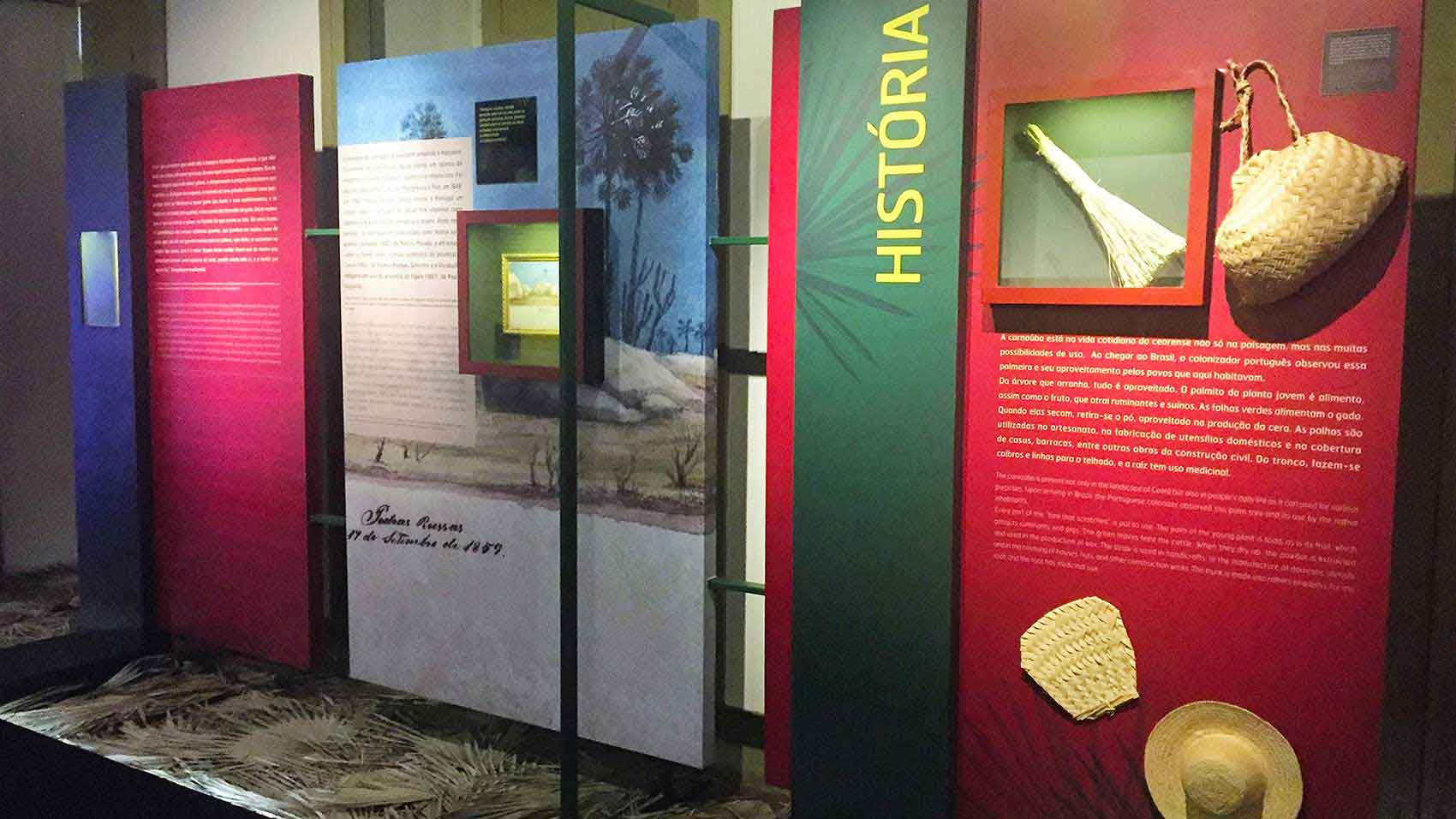 Carnauba Tree of Lilfe Exhibit Museum exhibit in partnership with Museum of Industry, Social Service of Industry and Federation of Industry of Ceará