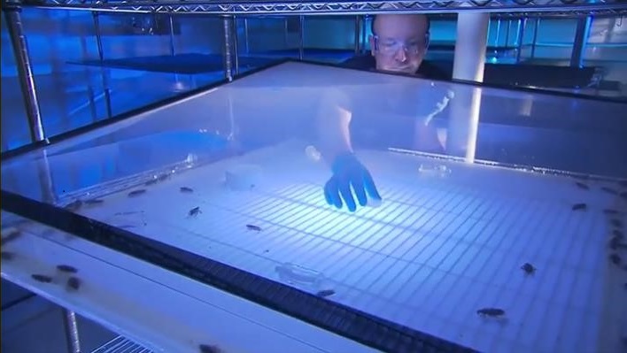 Institute of Insect Science for Family Health Institute of Insect Science for Family Health