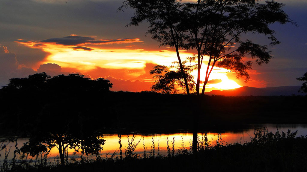 The Caatinga Region of Brazil