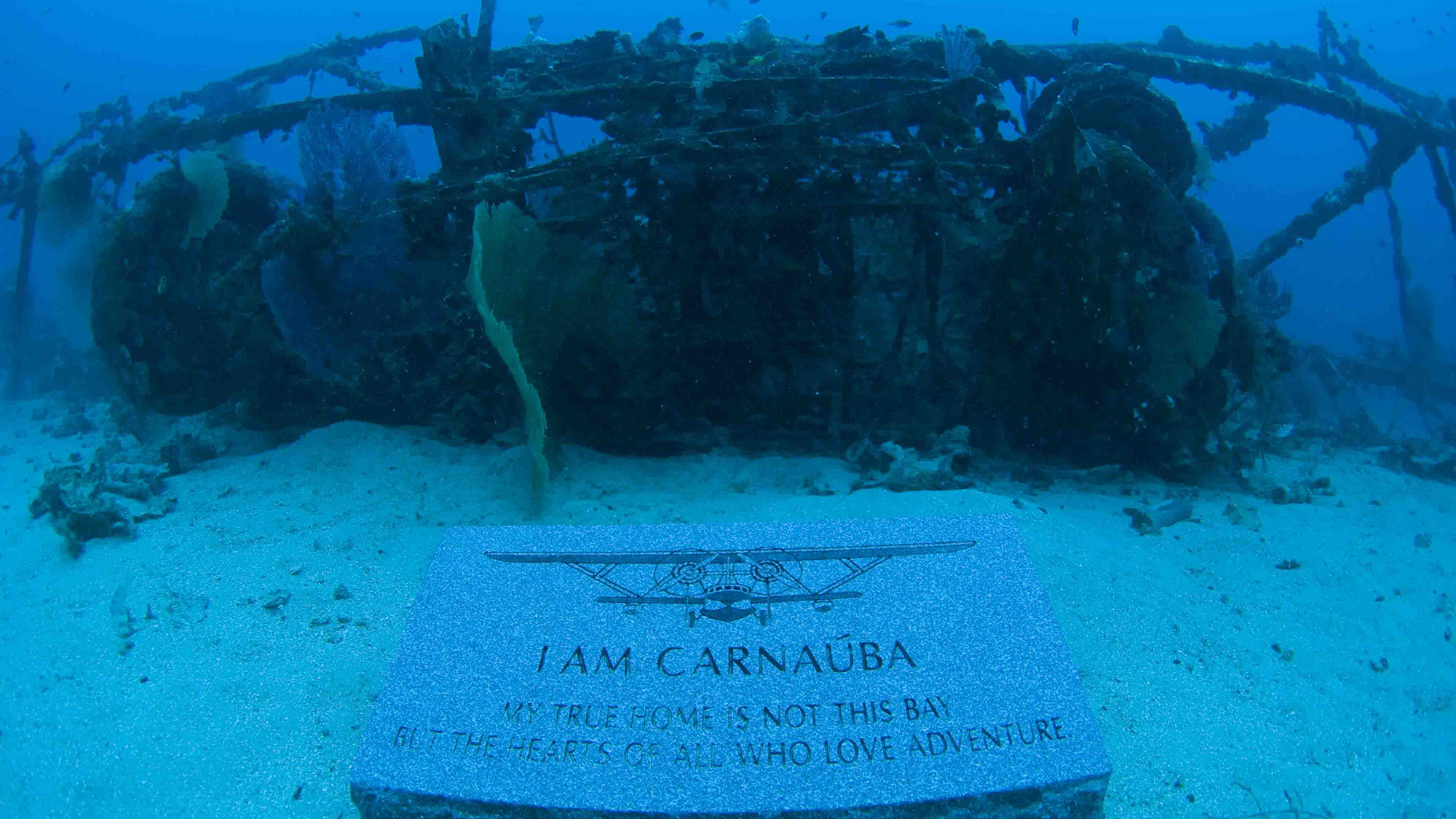 Plane with Plaque Plaque laid in front of Johnson family’s sunken Sikorsky S-38